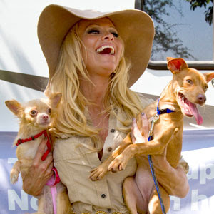 Pamela Anderson Is a Dog Saver Seen On www.coolpicturegallery.us