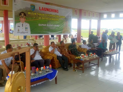 Syarifuddin Hadiri Launching Tanam Padi di Waeapo