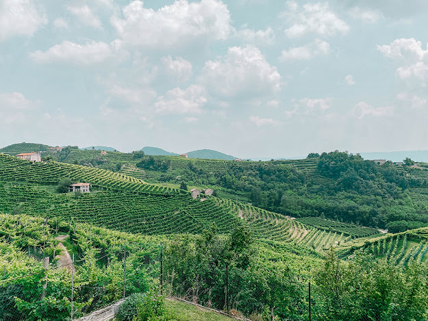 Colline del Prosecco: Valdobbiadene