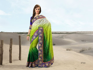 Embroidered Sarees Designs 2013
