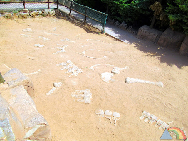 Excavación de huesos de dinosaurio en Paleosenda de Dinópolis