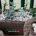 DIY Hypertufa Succulent Gardens