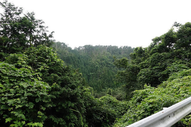 鎌倉山グリーンラインの山々