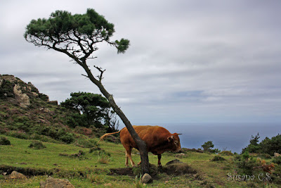 De Cariño a San Andrés de Teixido - A Coruña