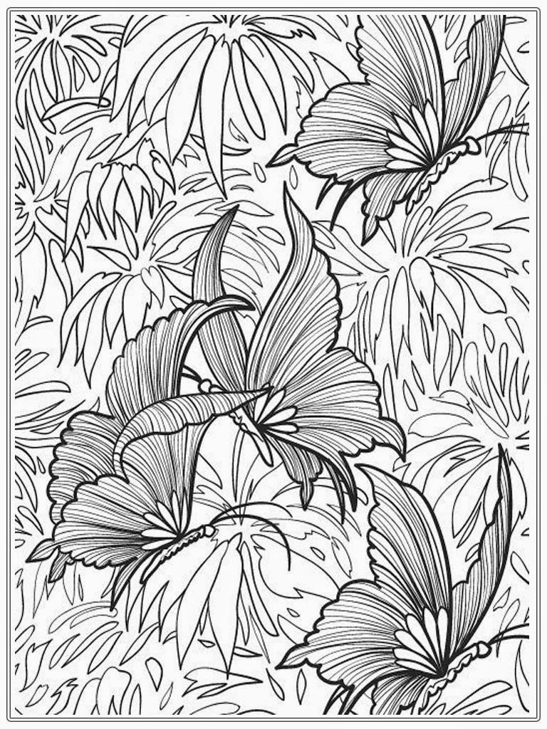 Adult Coloring Pages Butterfly  Realistic Coloring Pages