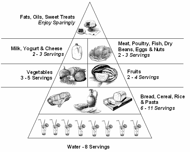 jolie blogs food pyramid for kids coloring page