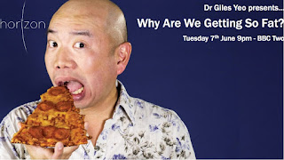 Why Are We Getting So Fat? | Watch online BBC documentaries