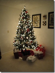 December 2009 045