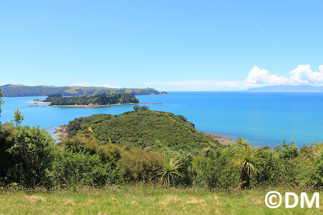 Photo de Rotoroa Auckland Nouvelle-Zélande