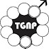 Programme Coordinator Wanted at TGNP Mtandao