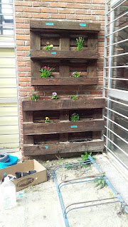 Macetero vertical realizado en palet, colgado en una de las paredes del Liceo.