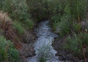 IMG_1178