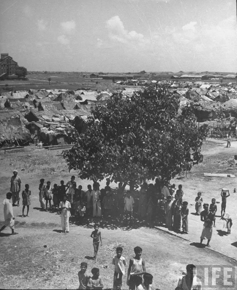  men & children gathered under the shade of a banyan tree