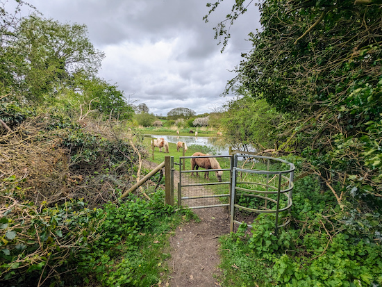 Continue on Wheathampstead footpath 71