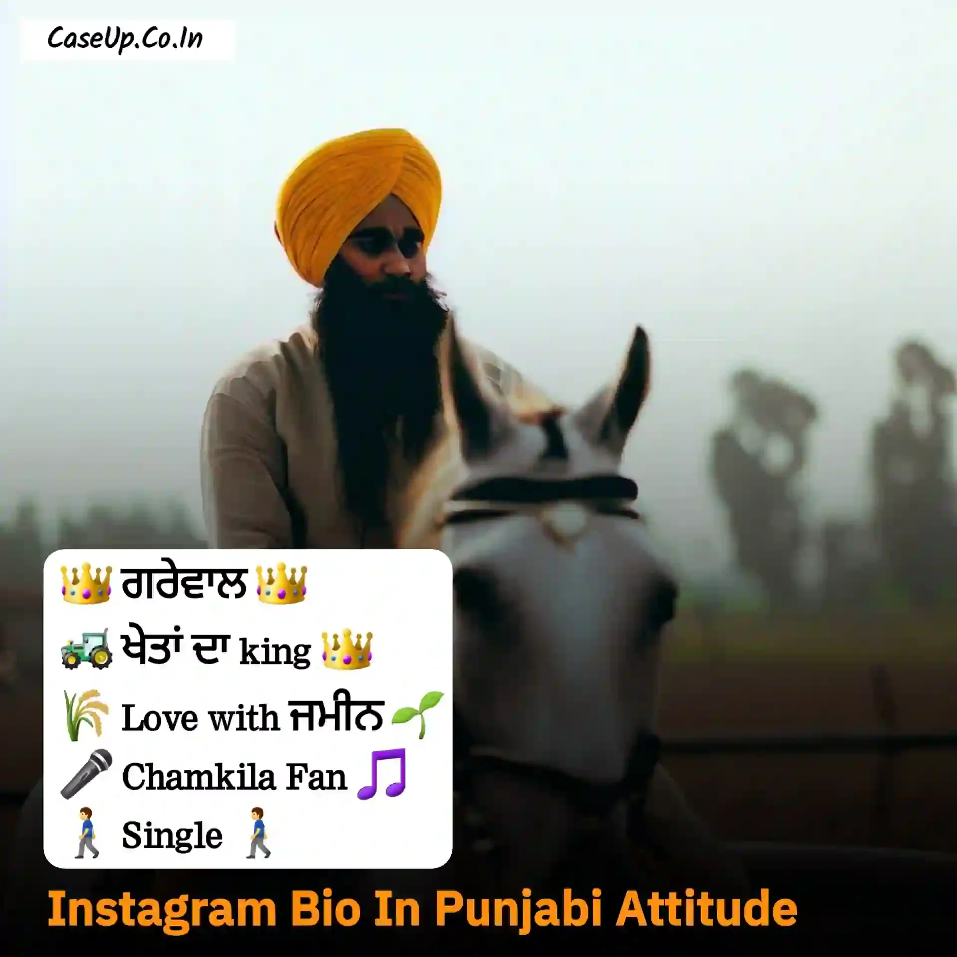 instagram bio in punjabi attitude 2