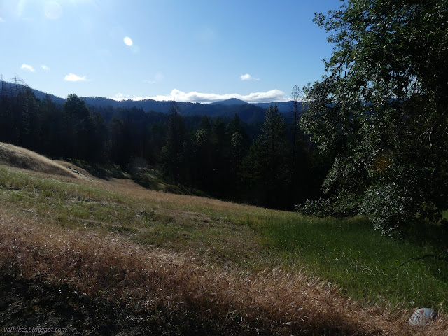 03: grassy meadow and trees