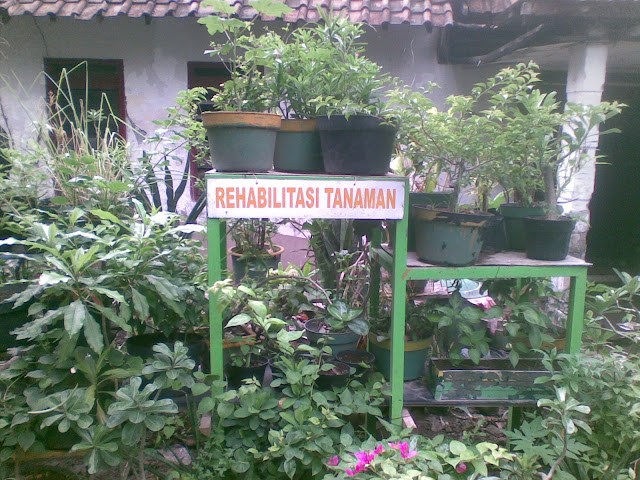 Kampung Wisata Jambangan Surabaya Jawa Timur 4