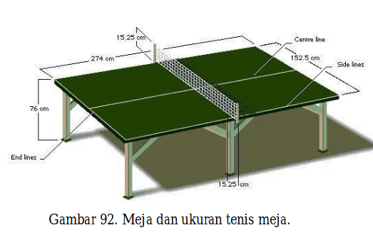 lapangan tenis meja