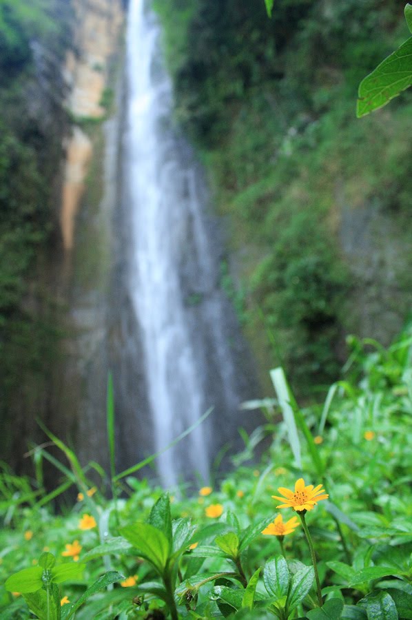 curug sidoharjo kulon progo 2