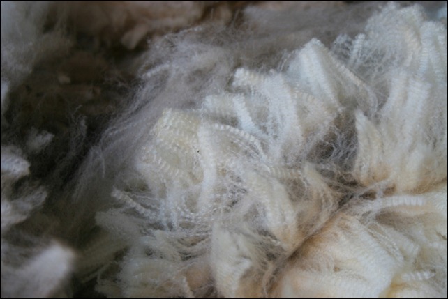 wool