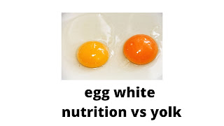 egg white nutrition facts awhite protein