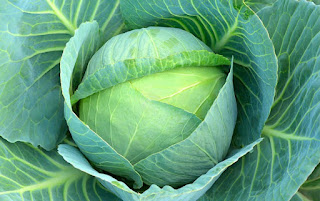 هل اللهانه مسموح في الكيتو Is cabbage allowed on keto  القيمة الغذائية للملفوف أو اللهانة
