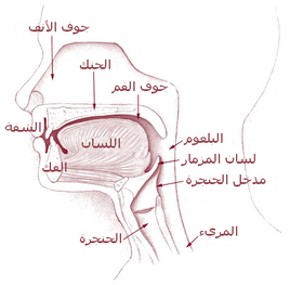 صورة