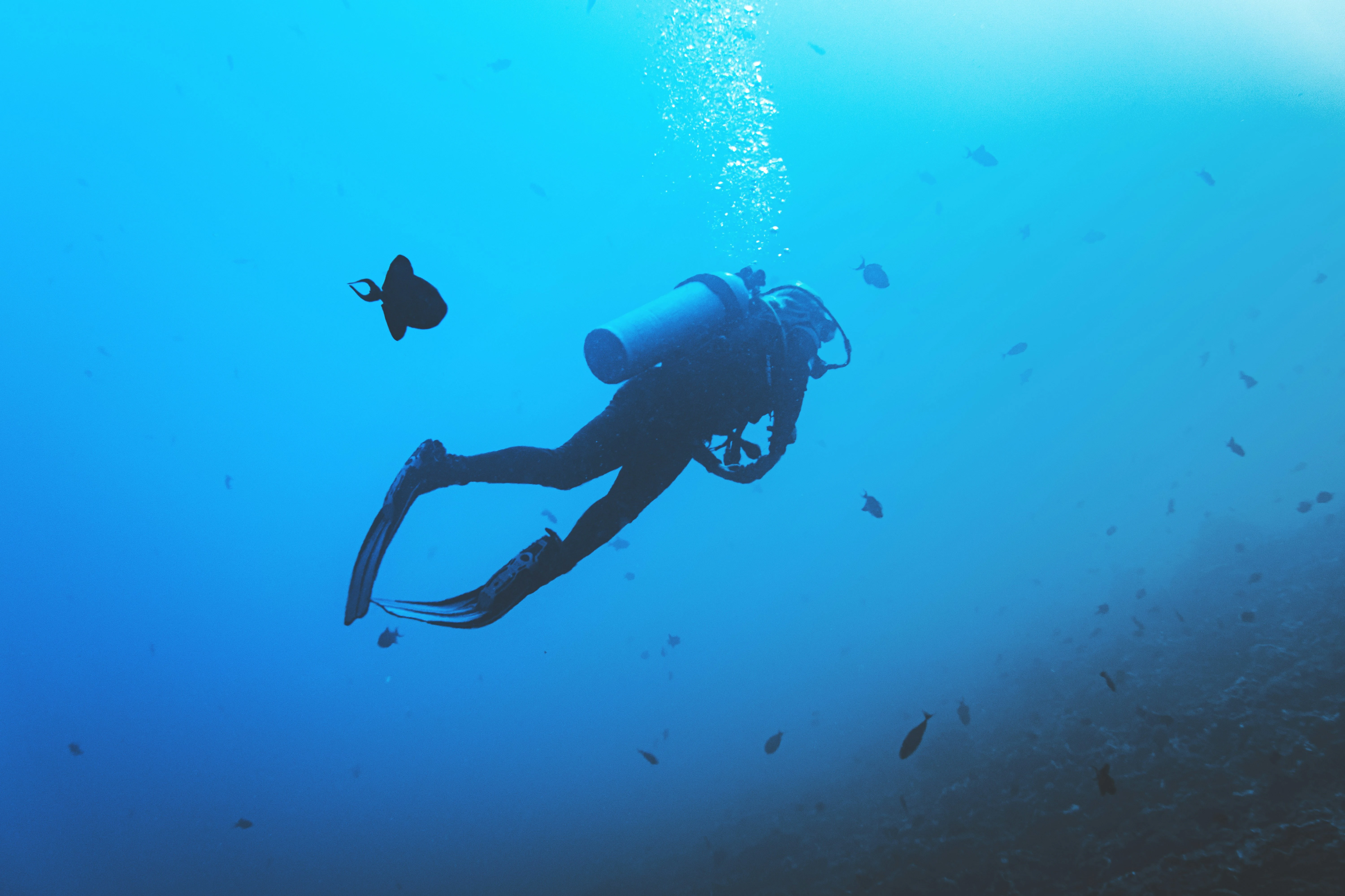 Diving in Crystal Bay Beach Nusa Penida