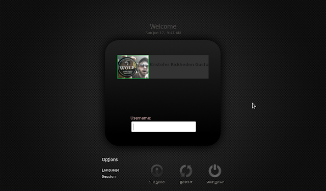 customize login screen in Linux Mint 13