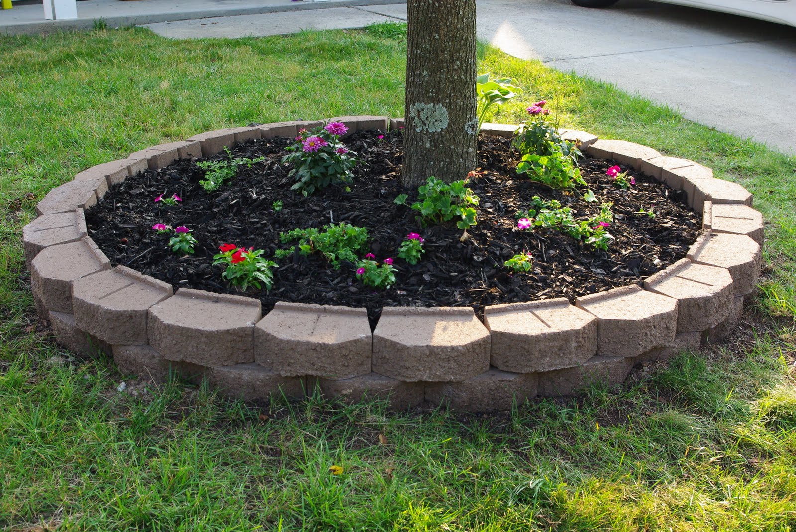 LOVE it!!!! The pavers and new flowers really make the yard look so ...