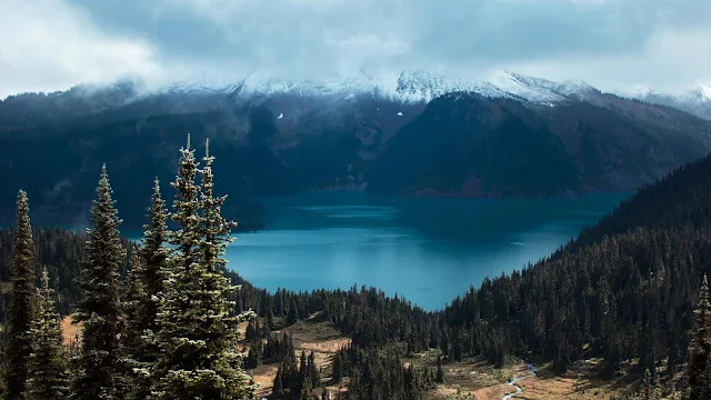 Lake, Spruce, Trees, Mountains, Forest, Clouds