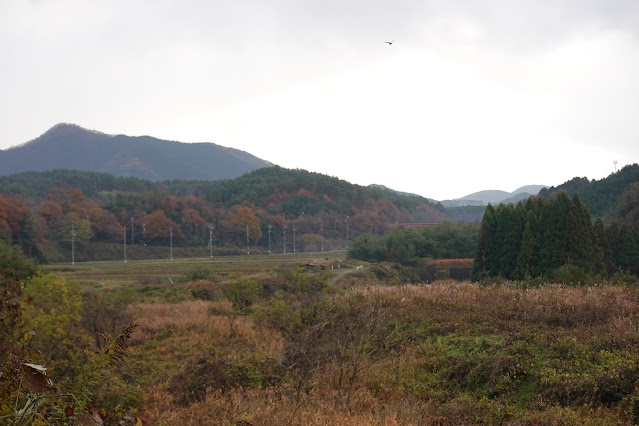 鳥取県米子市岡成 付近からの眺望