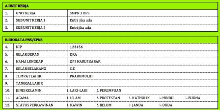 Contoh Pengisian Data Di Aplikasi PUPNS 2015  Info 