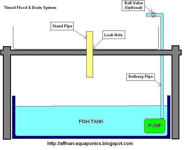 Affnan's Aquaponics: Timed Flood &amp; Drain System