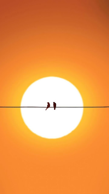 Two birds on Power lines at sunset. Sunset Birds iPhone Wallpaper is free wallpaper. First of all this fantastic wallpaper can be used for Apple iPhone and Samsung smartphone.