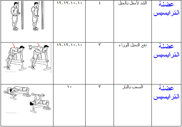 برنامج تدريب جيم للمبتدئين فى 4 أسابيع فقط