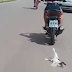 IMAGENS CHOCANTES! Mulher é flagrada arrastando gato amarrado em moto pelas ruas do Pará