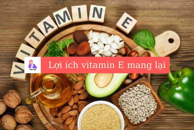 Lợi ích Vitamin E mang lại là gì?