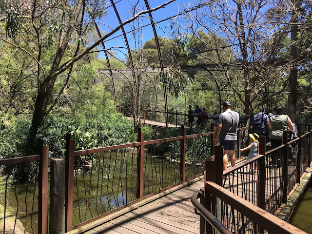 メルボルン動物園（Melbourne Zoo）