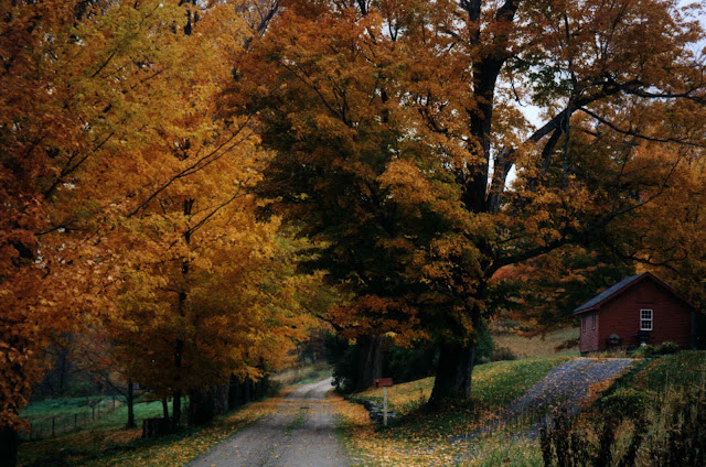 Autumn In Vermont6