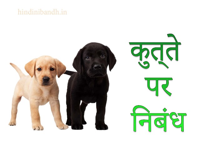 कुत्ते पर निबंध | Dog Essay In Hindi | कक्षा 1 से कक्षा 10 तक के लिए