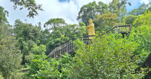 新北坪林生態園區思源臺茶郊媽祖、觀景台，坪林茶業博物館後方