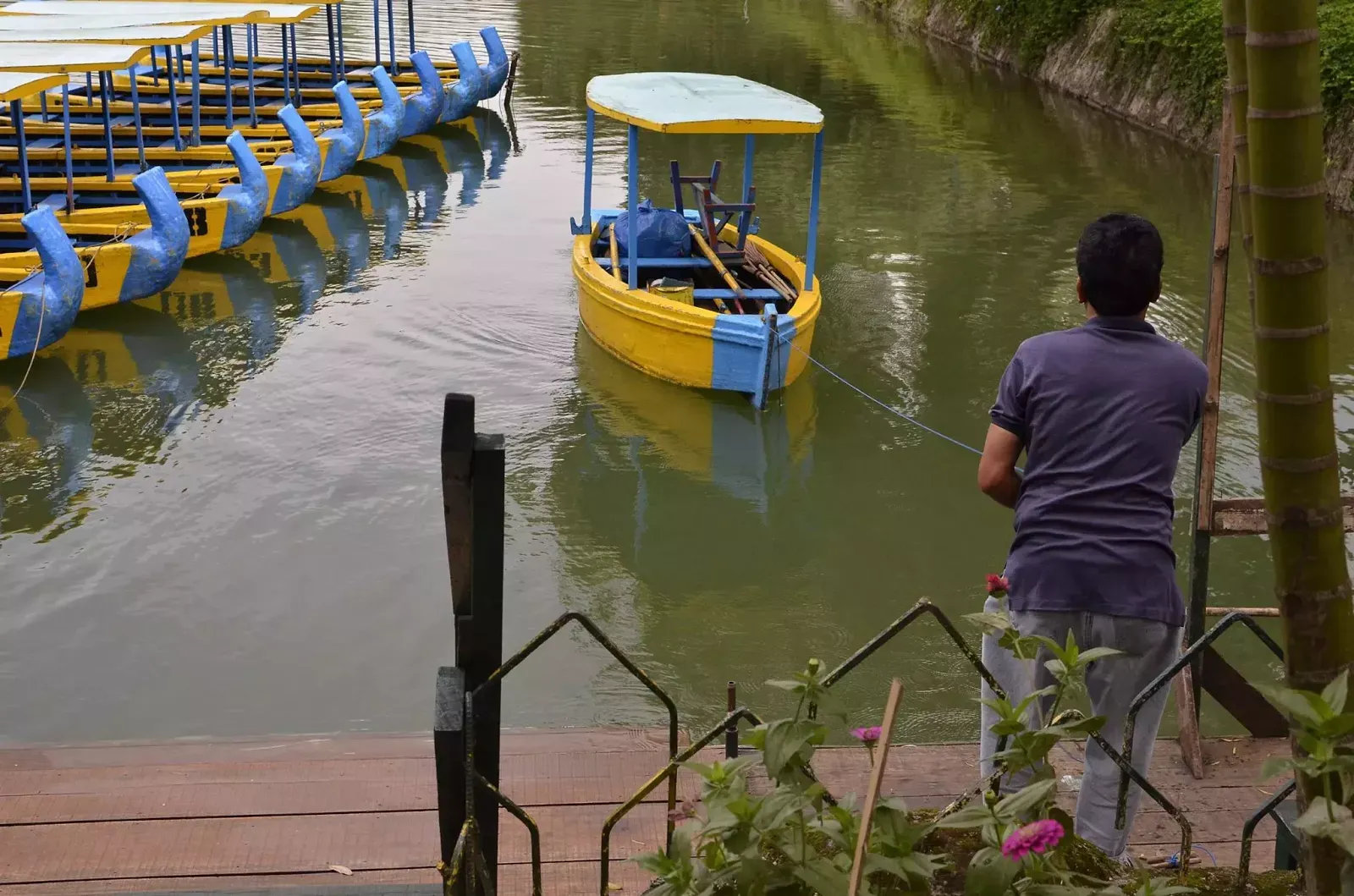 Boat Guide Pulls  a Yellow Boat Burnham Lake Baguio City Cordillera Administrative Region Philippines