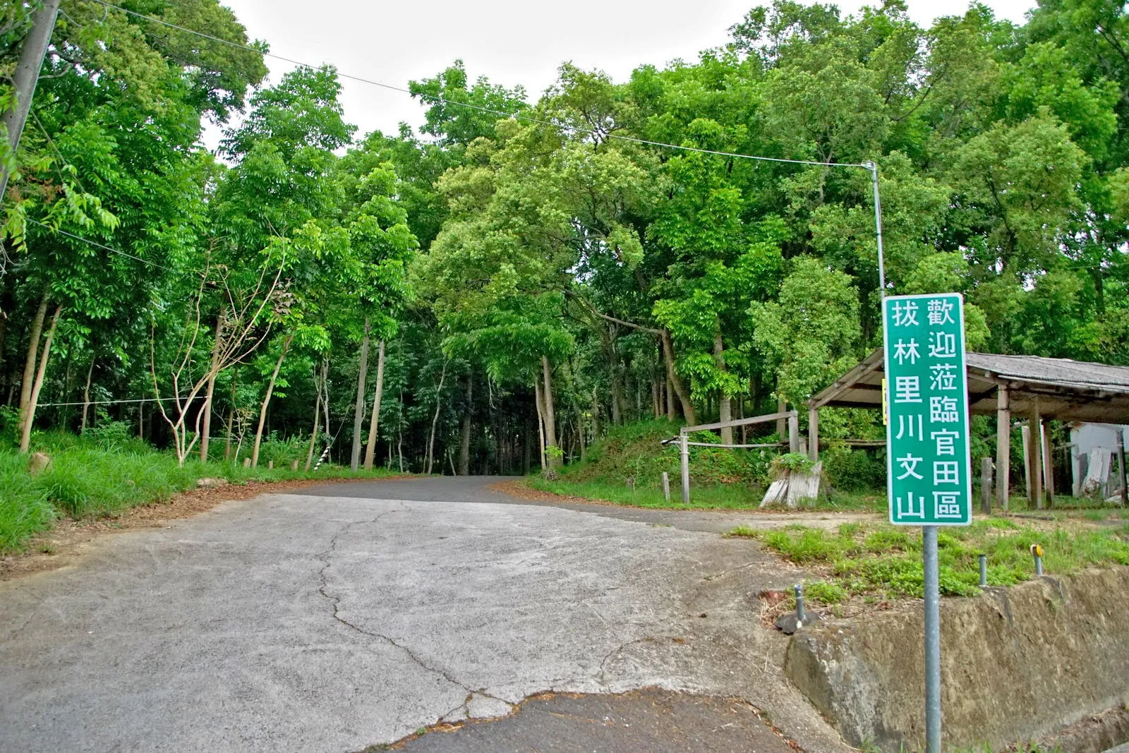 [台南][官田區] 川文山森林生態保育農場｜適合親子的入門步道｜官田小陽明山