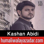 http://www.humaliwalayazadar.com/2016/07/kashan-abidi-nohay-2011-to-2017.html