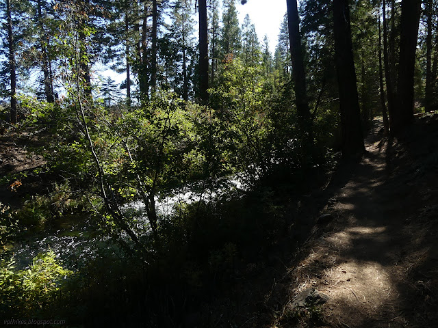 53: trail and creek and a lot of trees