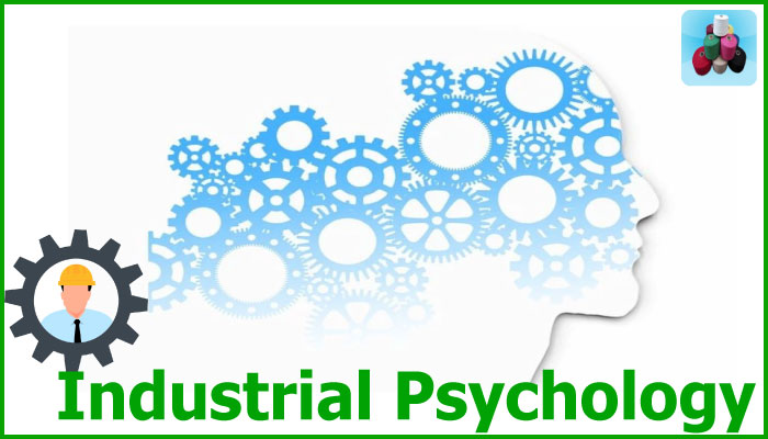 online phd industrial psychology