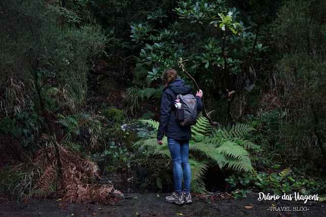 O que visitar na Ilha da Madeira