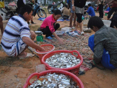 Quan Lan – La vierge embrasse la baie Bai Tu Long