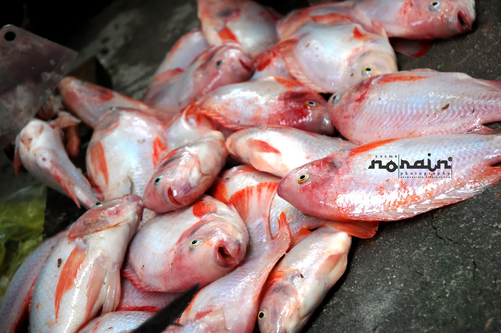 Ikan Talapia Bakar Di Homestay Kg. Beng